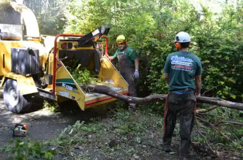 tree services Harwood Heights